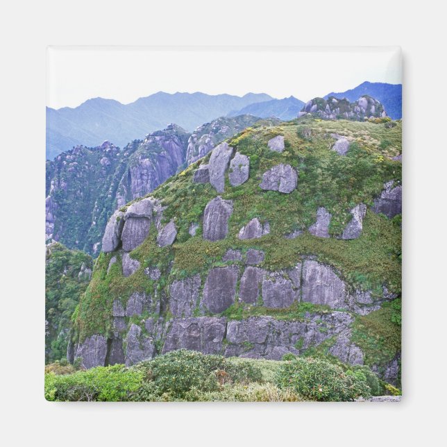 Imã Mt. Nagata, Yakushima, Kagoshima, Japão (Frente)