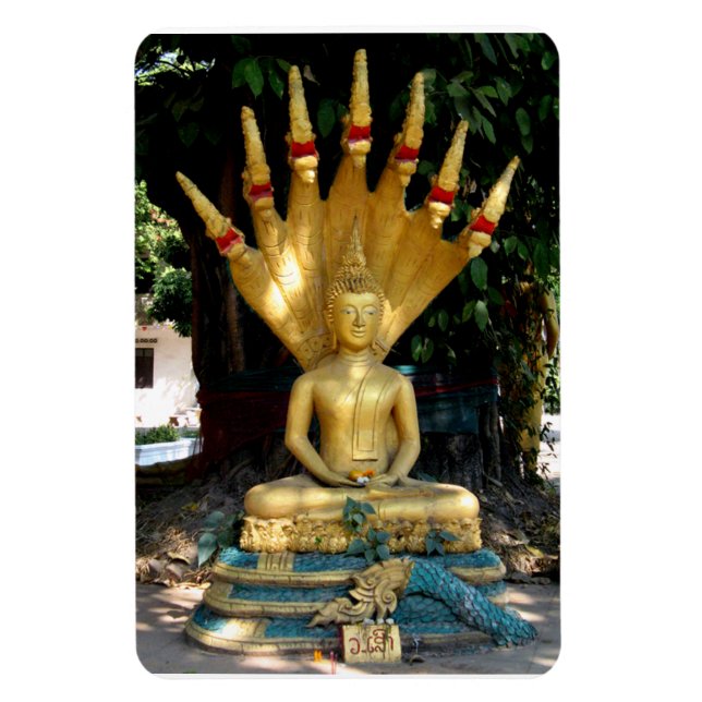 Ímã Mucalinda (Vertical)