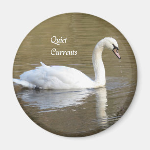 Imã Mudar o ímã de relaxação do Cisne