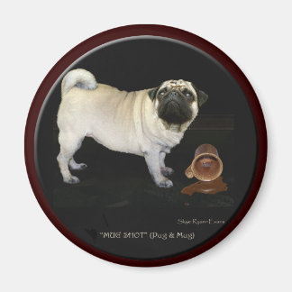 IMÃ "MUG SHOT"