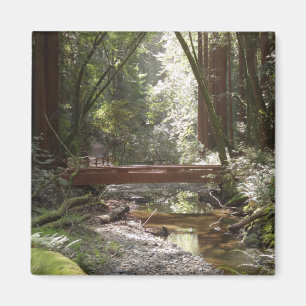 Imã Muir Woods Ponte II
