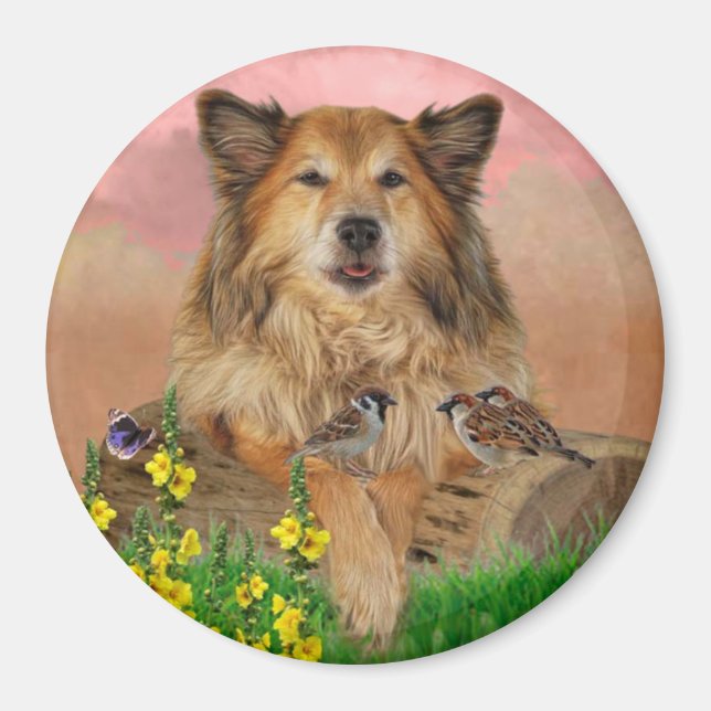 Imã Muismat (Frente)