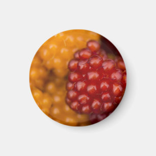 Imã Muito Berry