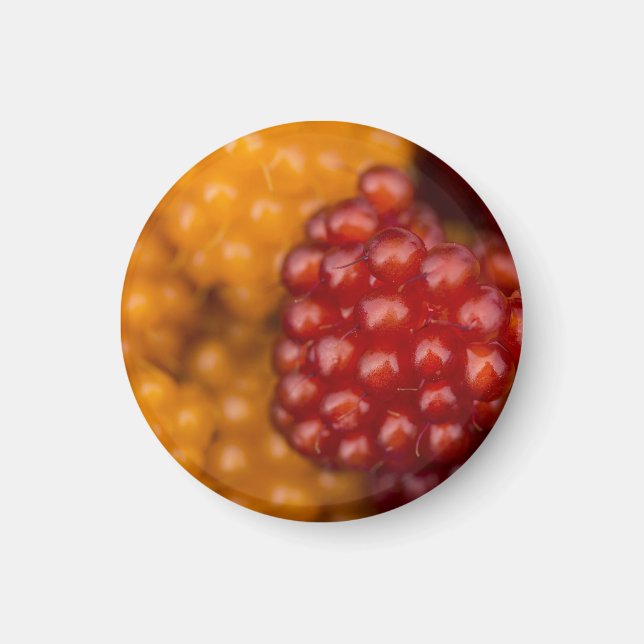 Imã Muito Berry (Frente)