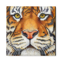 Muito Perto - Ímã de Tigre Siberiana