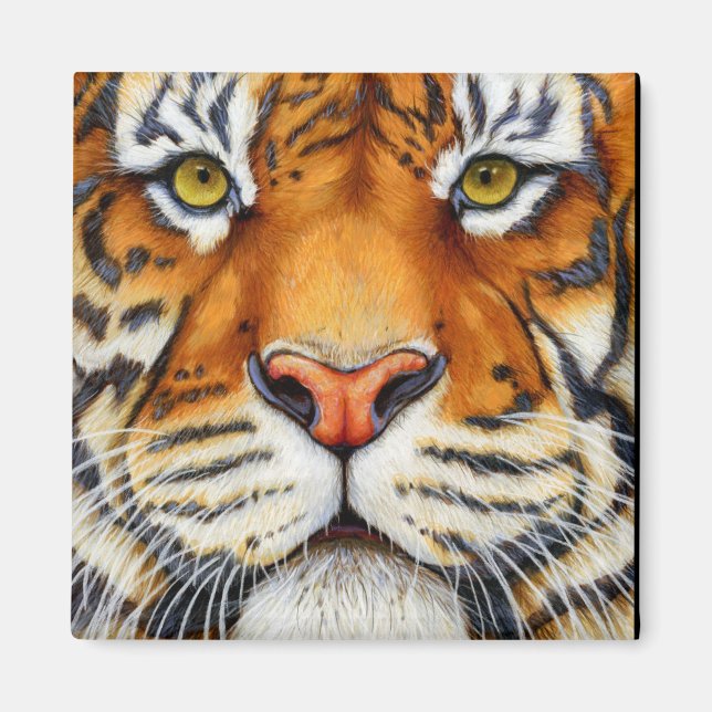 Imã Muito Perto - Ímã de Tigre Siberiana (Frente)