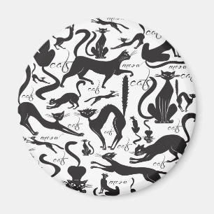 Imã Muitos gatos