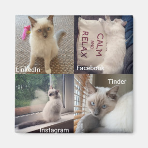 Imã Muitos rostos de um Gato Ragdoll