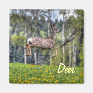 Imã Mule Deer & Field Willife Animal Design