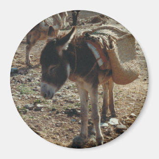 Imã Mule Magnet marroquino