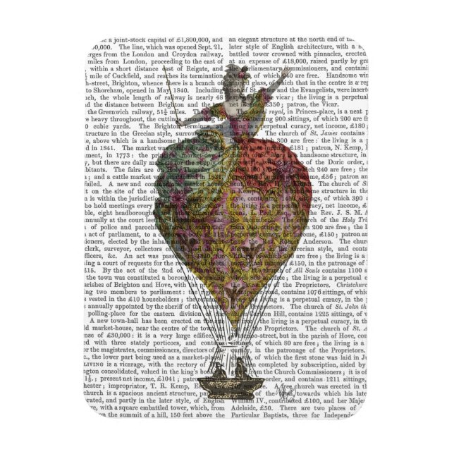 Ímã Mulher Balão de Ar Quente 3 (Vertical)