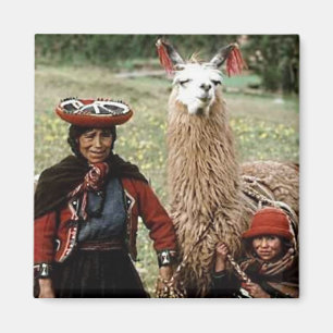 Imã Mulher Quechua com a foto de dois lamas
