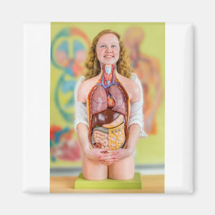 Imã Mulher segurando corpo humano com órgãos interno