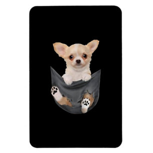 Ímã Mulheres Engraçadas Chihuahua Em Seus Cachorros A