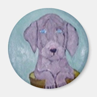 Imã mundo dos cães éricos