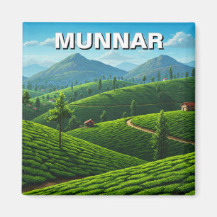 Imã Munnar Kerala India Tea Plantation