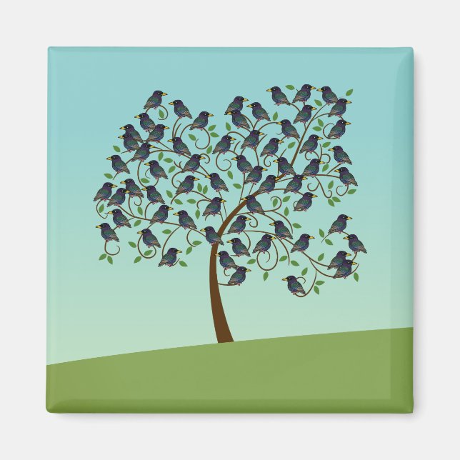 Imã Murmúrio de estorninhos (Frente)