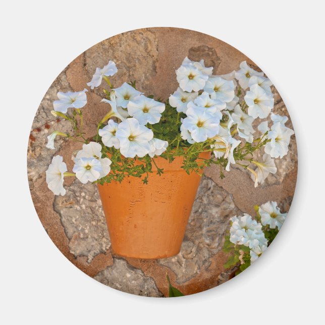 Imã Muro Espanhol (Frente)