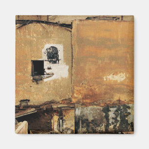 Imã muro urbano abutre peruano