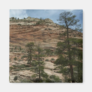 Imã Muros de Rock vestidos no Parque Nacional de Zion