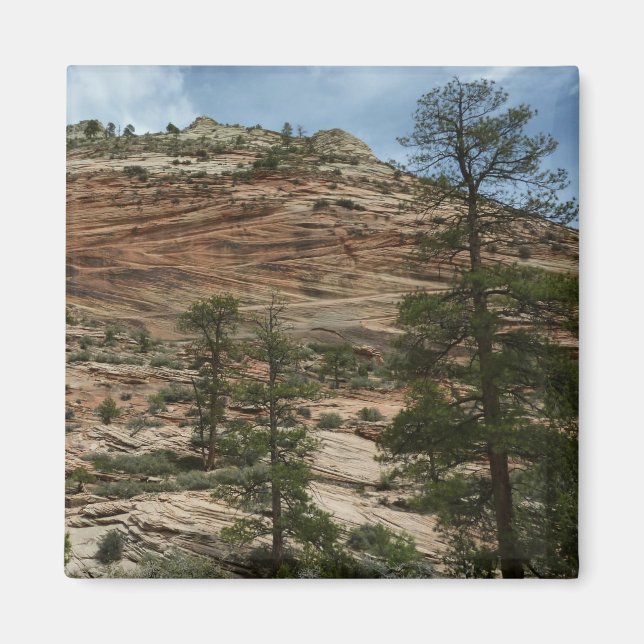 Imã Muros de Rock vestidos no Parque Nacional de Zion (Frente)