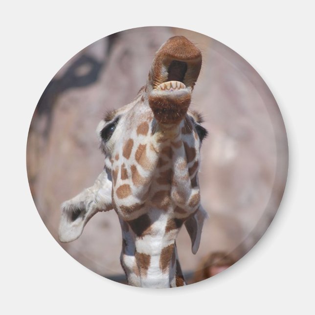 Imã Musa Magnet nº 1 (Frente)