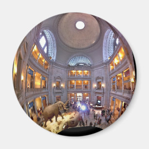 Imã Museu da história natural