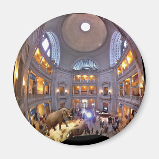 Imã Museu de História Natural