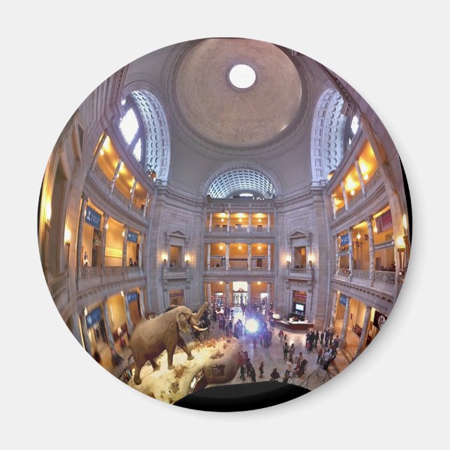 Imã Museu de História Natural (Frente)