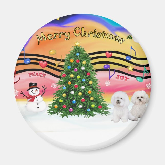 Imã Música de Natal 2 - Bichon Frise (dois) (Frente)
