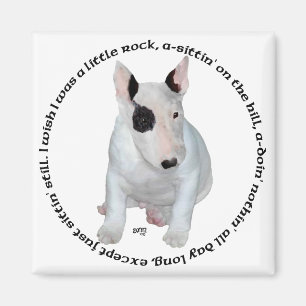 Imã Músicas de Filhotes de Bull Terrier