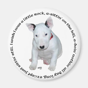 Imã Músicas de Filhotes de Bull Terrier