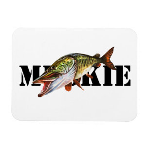 Ímã Muskie