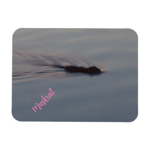 Ímã Muskrat no Minnesota Flexible Magnet