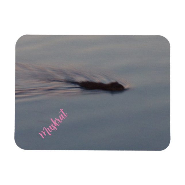 Ímã Muskrat no Minnesota Flexible Magnet (Horizontal)