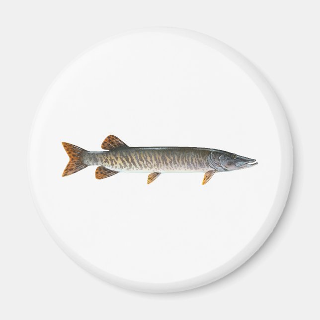 Imã Musky - Muskellunge (Frente)