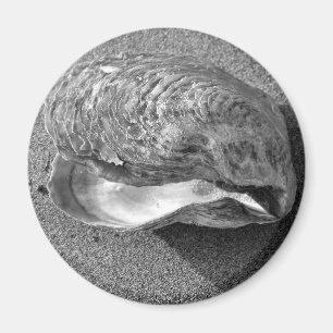 Imã Mussel Seashell Sand Beach Magnet