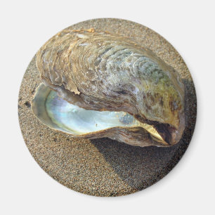 Imã Mussel Seashell Sand Beach Magnet