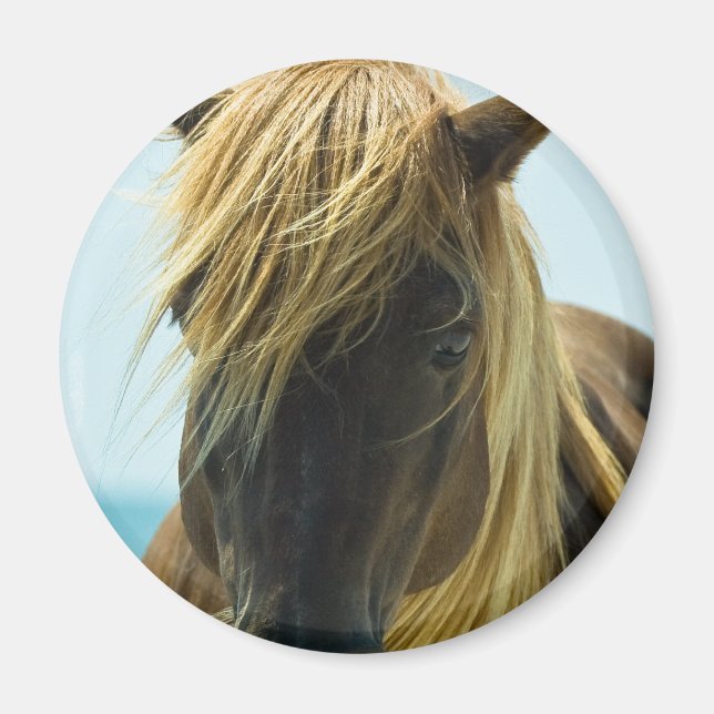 Imã Mustang Magnet (Frente)