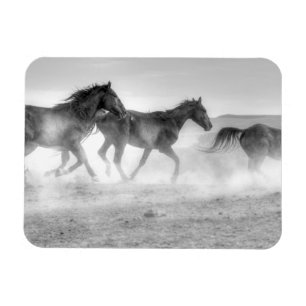Ímã Mustang Run