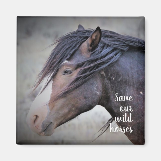 Imã Mustangs selvagens do Ocidente (Frente)