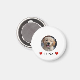 Imã My Dog Personalized Photo & Name & Hearts Magnet