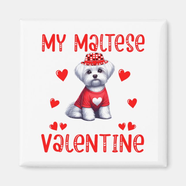 Imã My Maltese Is My Valentine Hearts Costume Single O (Frente)