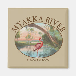 Imã Myakka River Florida com Roseate Spoonbill