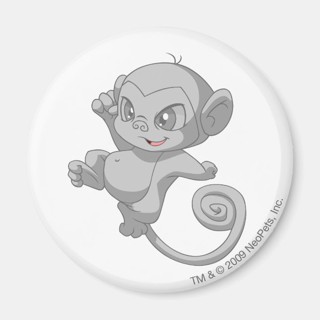 Imã Mynic Silver (Frente)