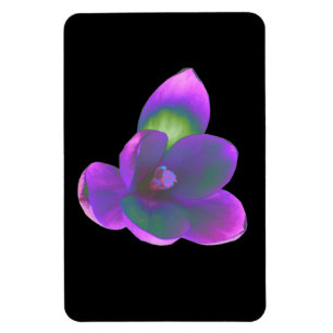 Ímã Mystic Beautic Crocus Flower Premium Magnet