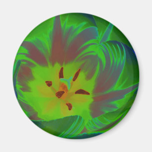 Imã Mystic Green Tulip Magnet