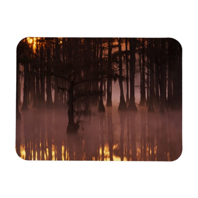 Ímã N.A., EUA, Geórgia, George Smith State Park. (Horizontal)