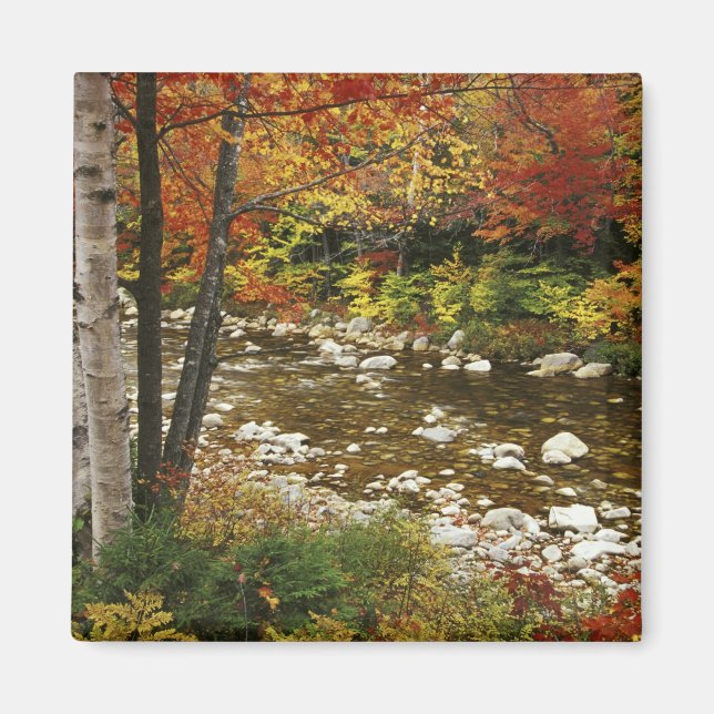 Imã N.A., EUA, New Hampshire, White Mountain, (Frente)