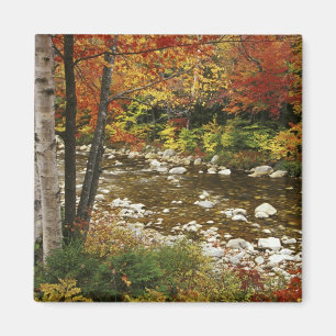 Imã N.A., EUA, New Hampshire, White Mountains,